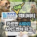 (주)여행매니저 | 세부 여행 추천｜필리핀 사파리 직접 다녀온 후기