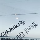 다시버시