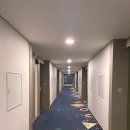 중문통나무가족호텔 | 제주 중문가성비호텔 추천 더엠호텔숙박후기