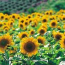 김경태한의원 이미지