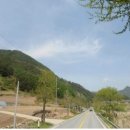 김삿갓면-2 이미지