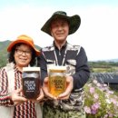 안내삼승로 이미지