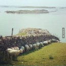 여름목장 이미지