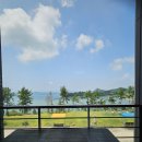 쏠레비치온수풀수영장 이미지