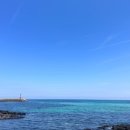 가지스테이 이미지