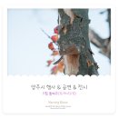 토요시네마 11월 | 이번주 어디갈까? 11월 둘째주 양주 행사 &amp; 공연 &amp; 전시 안내