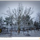 상운초등학교 이미지