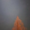 인천국제공항스카이칠십이골프장 | 일본 골프 구마모토 온천 골프패키지 아소 스카이블루 cc 라운딩 후기