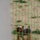 파라키스 이미지