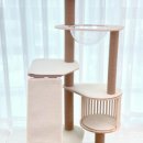 미뇽 캣 이미지