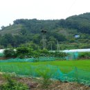 내리마을회관 이미지