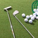 THE스크린SG골프 이미지