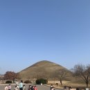 경주 대릉원 천마총 요금, 주차정보 &amp; 황리단길 맛집