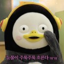 정선낚시