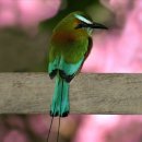 함라면-01 네이버블로그