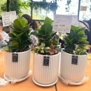 경기도립노인전문여주병원 이미지