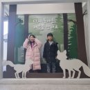 여우아이 이미지