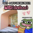 달럽 이미지
