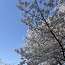 잠수교집 | 미사 호수 공원 냉삼 맛집 잠수교집 후기 주차 꿀팁, 애견 동반