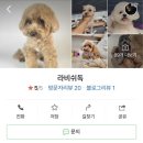 원당독 네이버블로그