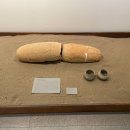 강릉원주대학교 박물관 이미지