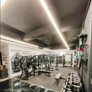 Gym BX4 네이버블로그