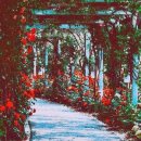 빌리언벅스 이미지