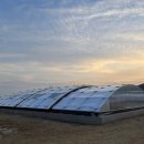 곡리정수태양광발전소 | 알루미늄 돔 커버의 혁신적 선두주자, 엔비코(ENVICO)