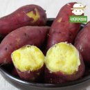 꿀밤농장 이미지