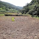 화수리농장 이미지