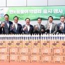 꿈돌이 이미지