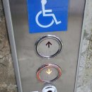 동탄대로시범길 이미지