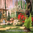 코지라이프 이미지