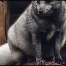 천안고속버스터미널 이미지