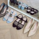 바인블루 이미지