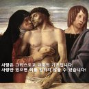 사도교회 앞 이미지