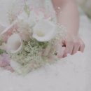 W26. 본식 DVD 비교 추천(화이트모티브/더그레이스무비/룩어라운드필름)
