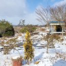 김종열농장 이미지