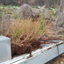 관수농장 이미지