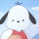 유어썸머 이미지