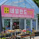 다육정원네덜란드