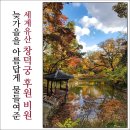 창덕궁 후원/ 비원 이미지