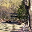 명곡로 | ☕️대구 송해공원 감성 카페 ‘웜 브리즈’ 조용히 쉬고 싶은 날, 여기🫶🏻