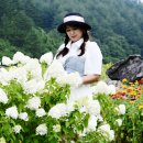 미인목장 이미지