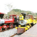 제주도건강랜드 이미지