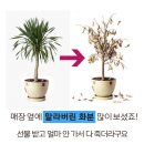 S016 | 플레이스 영수증리뷰 뻔하지않은 실용적인 개업축하선물 추천 영수증큐알코드 매출도 리뷰도 쑥쑥!