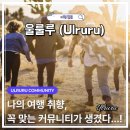 동행 | 여행 필수 어플 추천 울룰루(Ulruru) 앱 여행 커뮤니티 동행 찾기 후기