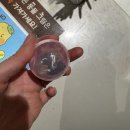 시흥오이도박물관 | 시흥 오이도박물관 후기｜아이랑 가기 좋은 무료 체험형 박물관 추천