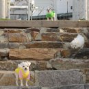 아임버디 이미지