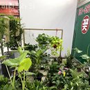 미림플라워 이미지